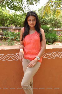 Nikitha Narayan in Pink Dress