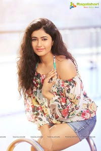 Poonam Bajwa Hot Pics