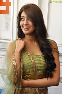 Telugu Heroine Praneetha