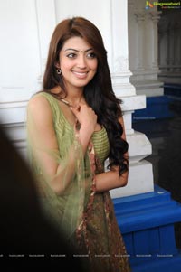 Telugu Heroine Praneetha