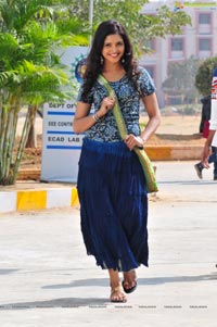 Sanchita Padukone in Saree