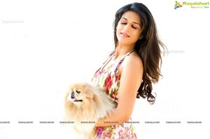 Shraddha Das Portfolio Pics