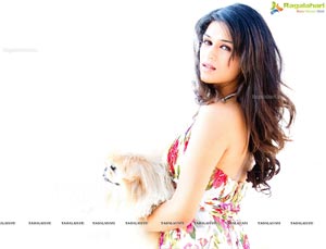 Shraddha Das Portfolio Pics