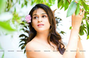 Shraddha Das Portfolio Pics