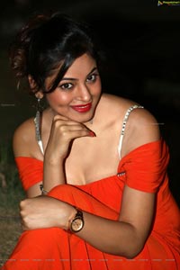 Green Signal Shilpi Sharma Hot Photos