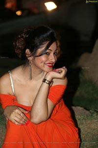 Green Signal Shilpi Sharma Hot Photos