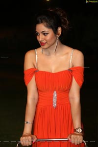 Green Signal Shilpi Sharma Hot Photos