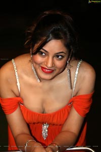 Green Signal Shilpi Sharma Hot Photos