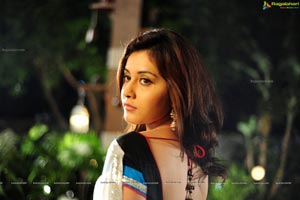 Rashi Khanna in Saree