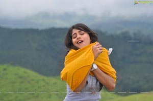 Regina Cassandra Expressions