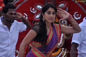 Regina Cassandra Expressions