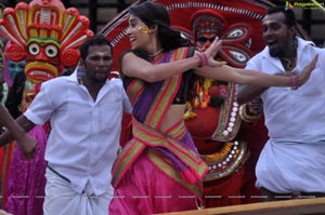 Regina Cassandra Expressions