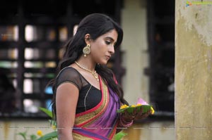 Regina Cassandra Expressions