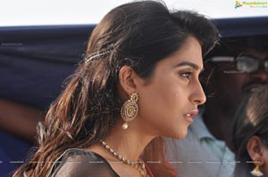 Regina Cassandra Expressions