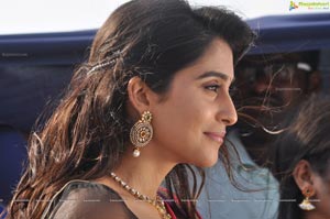 Regina Cassandra Expressions