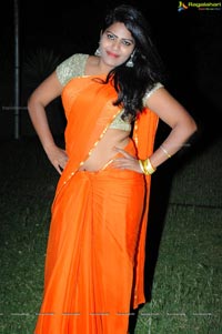 Heroine Sitara in Saree