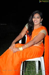 Heroine Sitara in Saree