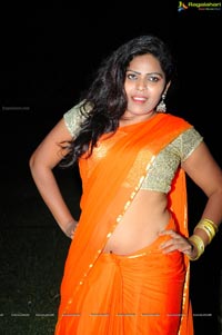 Heroine Sitara in Saree