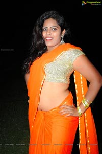 Heroine Sitara in Saree