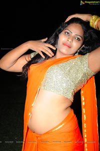 Heroine Sitara in Saree