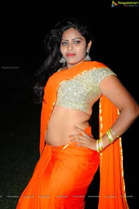 Heroine Sitara in Saree