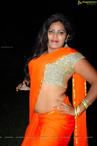 Heroine Sitara in Saree