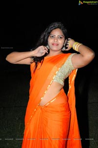 Heroine Sitara in Saree