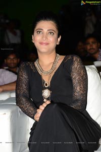 Shruti Haasan Race Gurram Success Meet