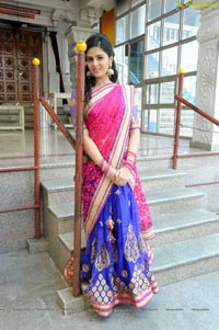 Sree Mukhi in Half Saree