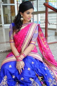 Sree Mukhi in Half Saree