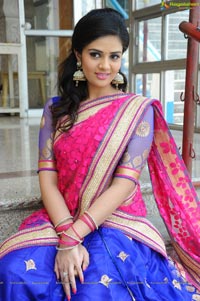 Sree Mukhi in Half Saree