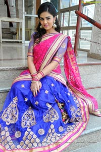 Sree Mukhi in Half Saree