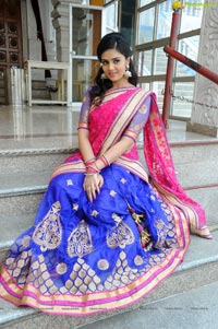 Sree Mukhi in Half Saree