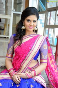 Sree Mukhi in Half Saree