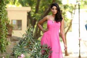 Sharon Fernandes Pink Dress