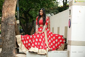 Bhanu Sri in Red Ghagra