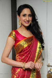 Pragya Jaiswal High Resolution Photos