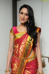 Pragya Jaiswal High Resolution Photos