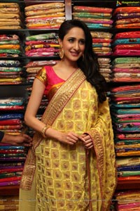 Pragya Jaiswal High Resolution Photos