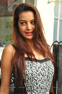 Diksha Panth Photos