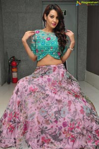 Diksha Panth Photos