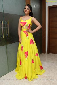 Raashi Khanna in Yellow Dress