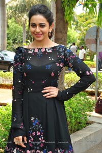 Sarrainodu Rakul Preet Singh