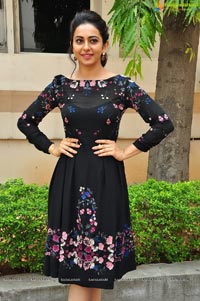 Sarrainodu Rakul Preet Singh