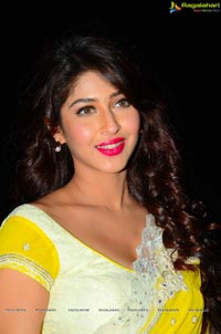 Sonarika Bhadoria Photos