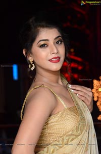 Yamini Bhaskar in Saree