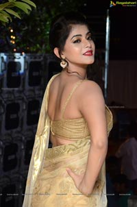 Yamini Bhaskar in Saree