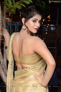 Yamini Bhaskar in Saree