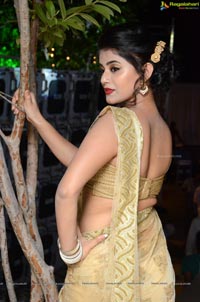 Yamini Bhaskar in Saree