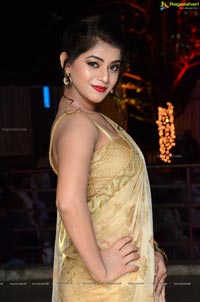 Yamini Bhaskar in Saree